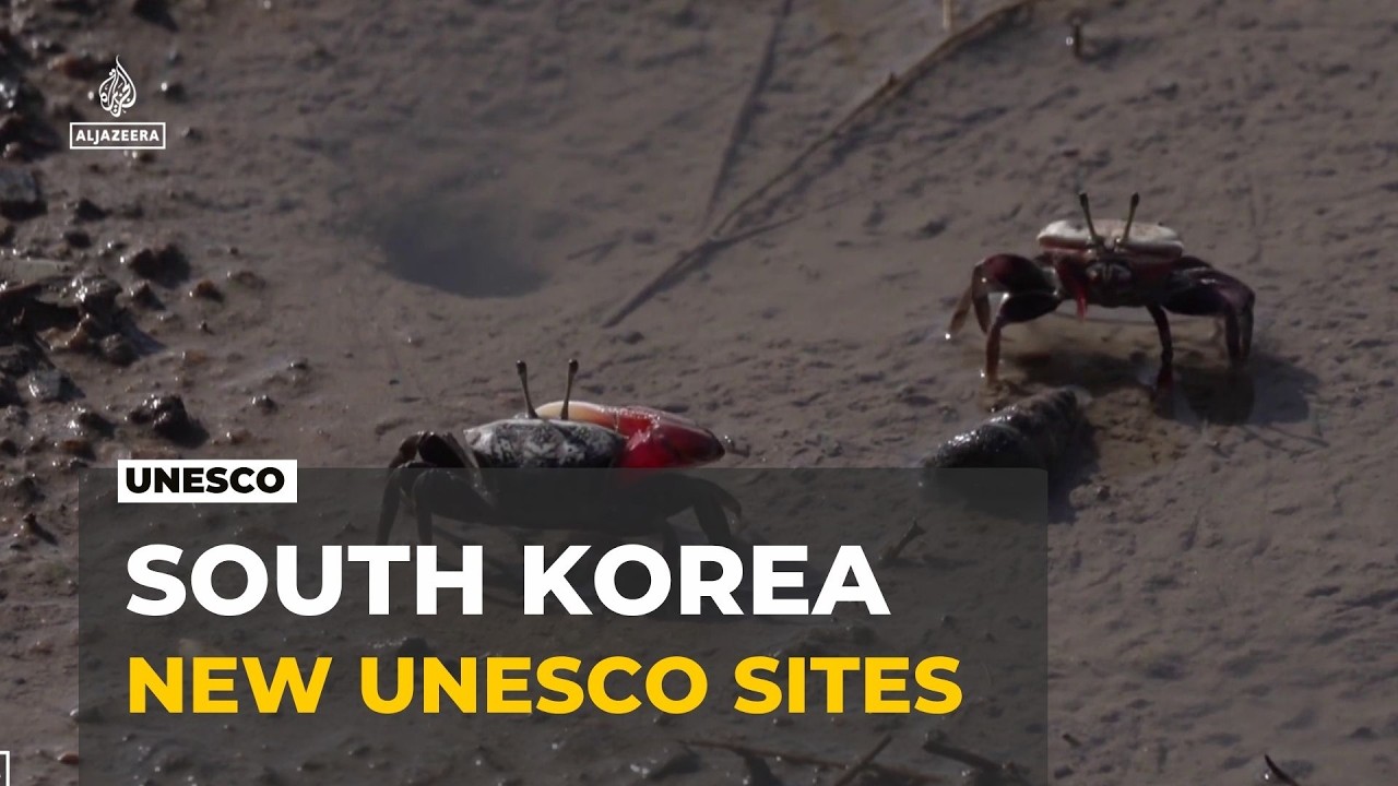 South Korea heritage sites: Four more wetland areas proposed for UNESCO list