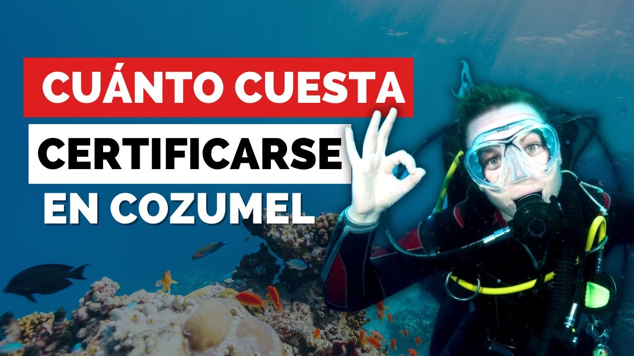 Me certifiqué en Buceo en COZUMEL🤿 [Cuánto cuesta]