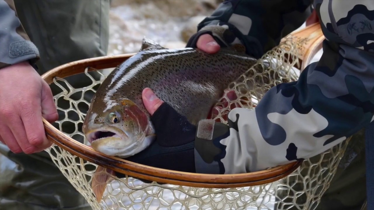 Spinney Mountain Reservoir