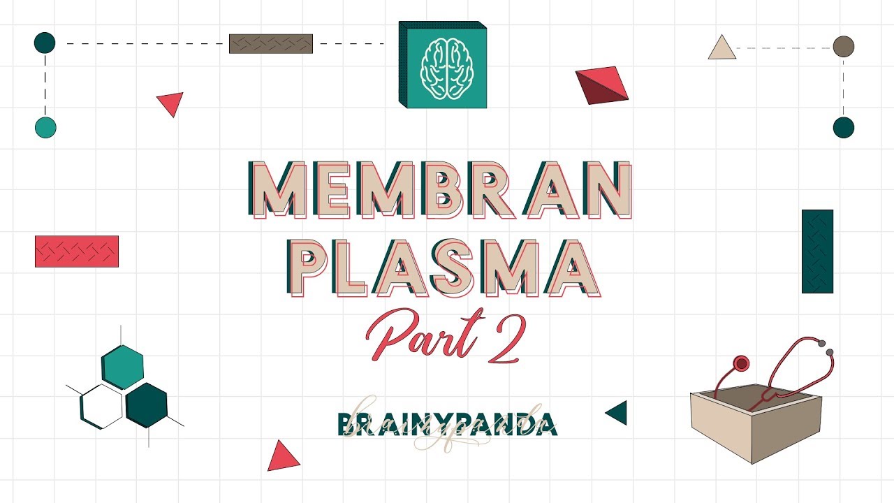 Membran Plasma: Protein Membran | Ilmu Biomedik Dasar | Brainy Panda