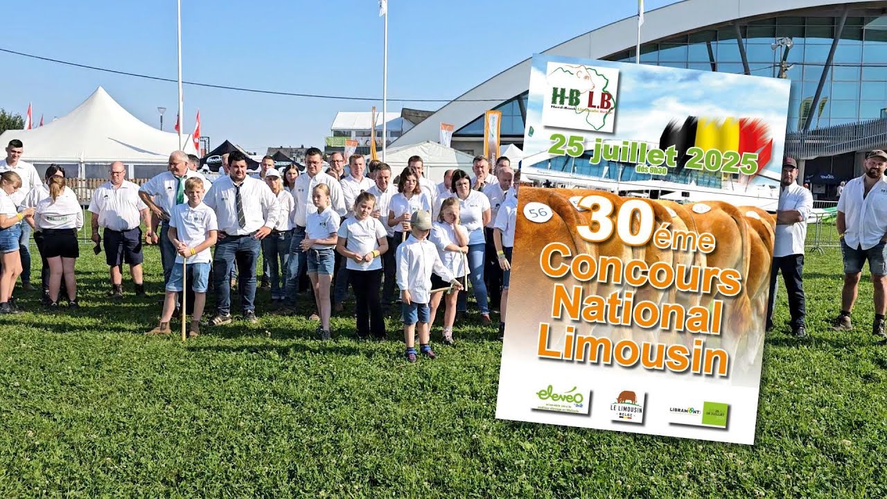 Concours National Limousin Libramont 2025