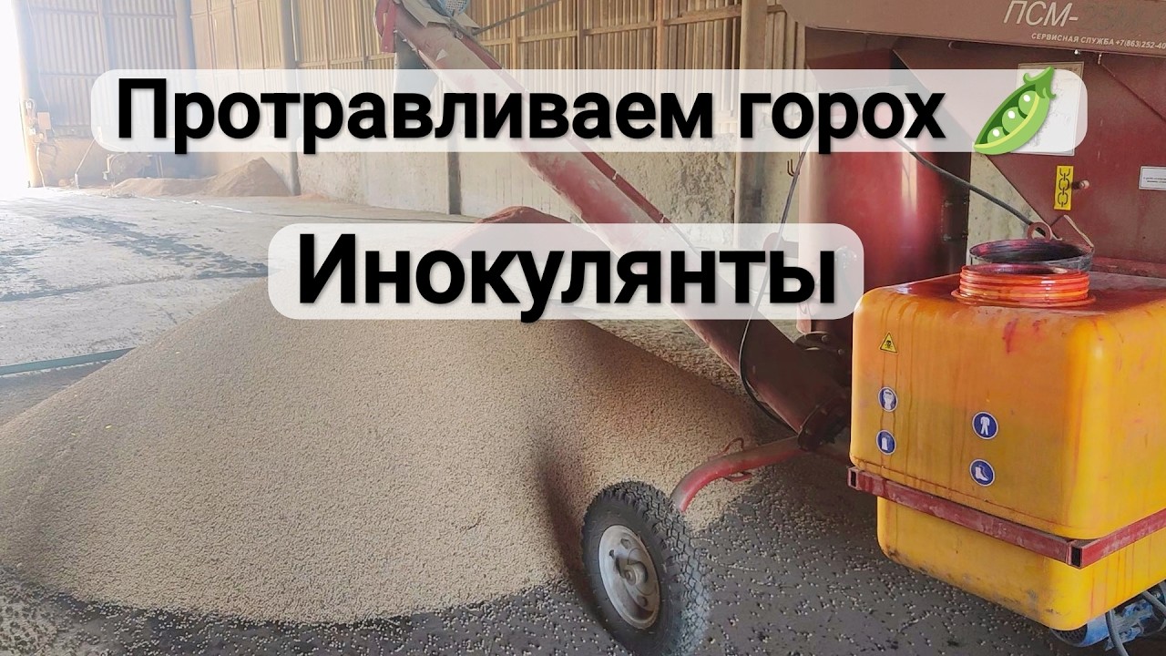 Протравливание гороха | Инокулянты | 8 марта 2026