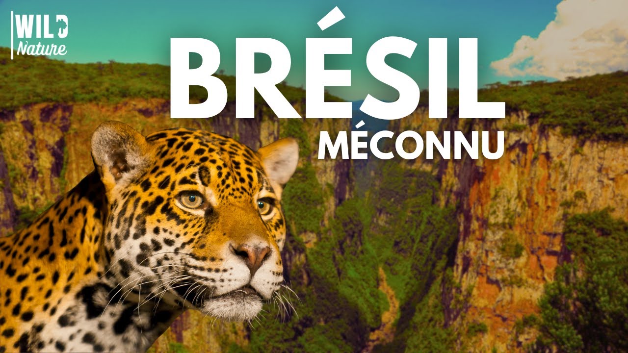 LE BRÉSIL COMME VOUS NE L'AVEZ JAMAIS VU | Documentaire Complet