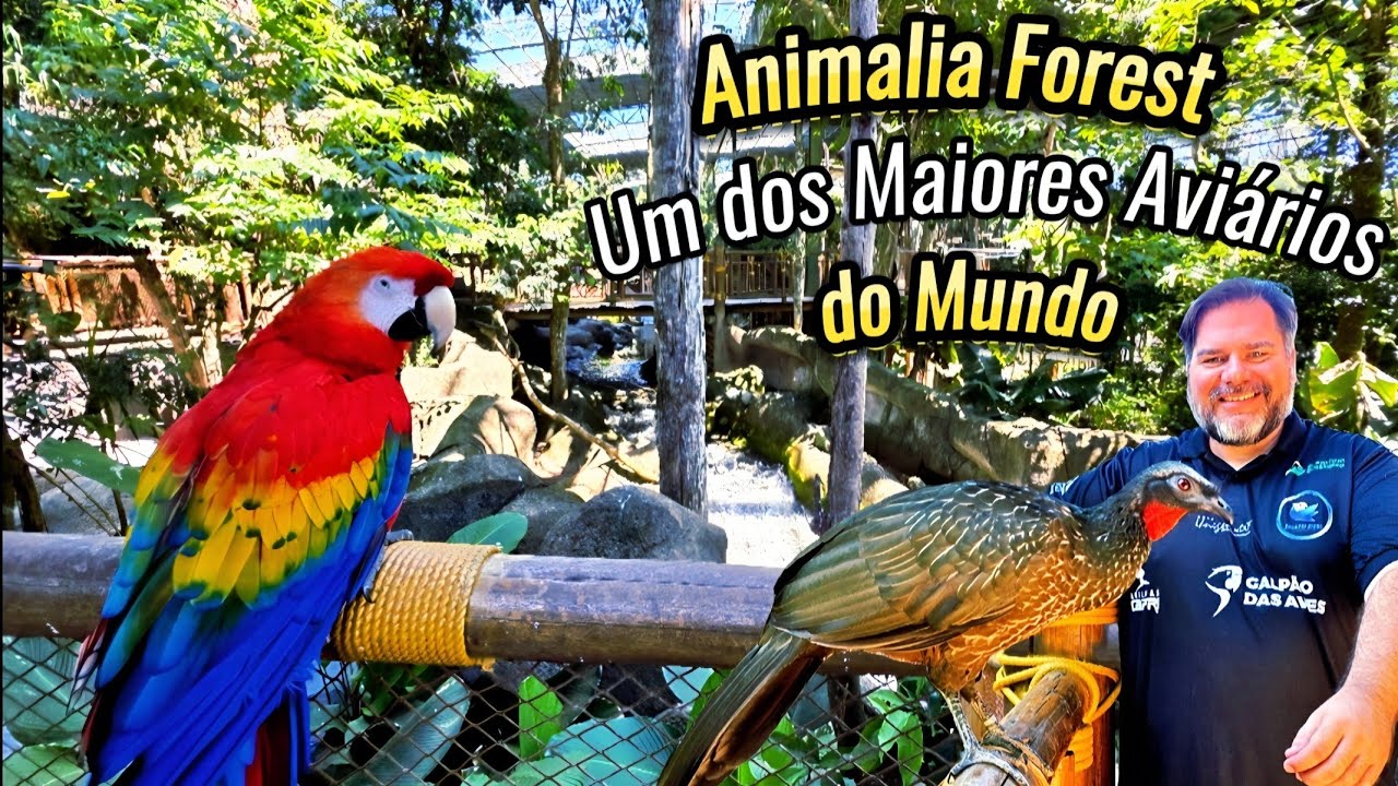 Mergulhei no Maior Aviário do Mundo! Aventura Inesquecível no Animália Park