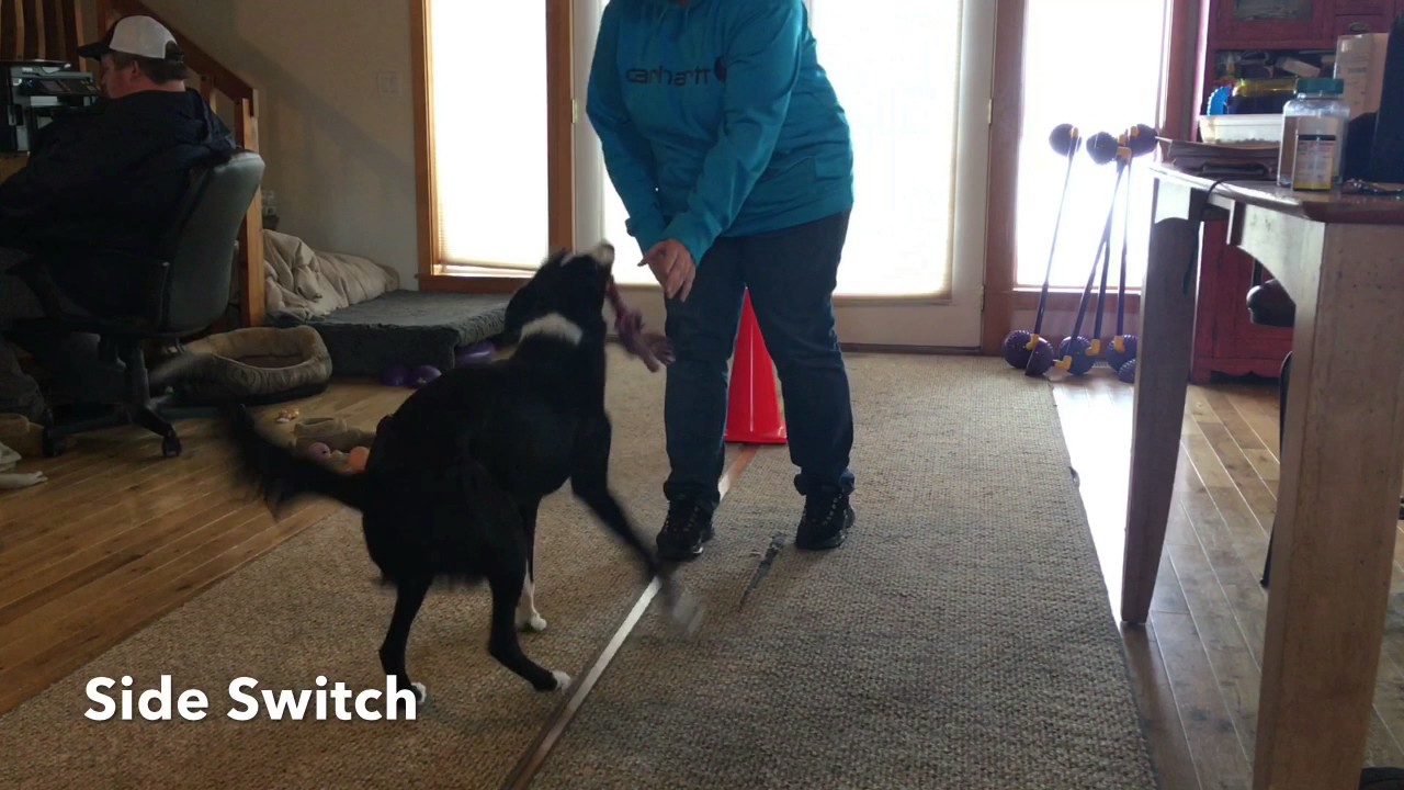 COMMITMENT TO DISTANCE - SWITCH AND CONE WORK