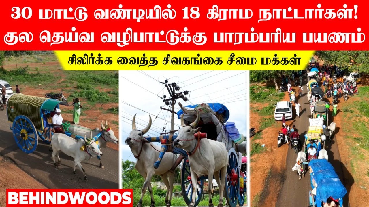 30 மாட்டு வண்டி.. குல தெய்வ வழிபாட்டுக்கு சென்ற 18 கிராம சொந்தங்கள்..! சிலிர்க்க வைத்த சிவகங்கை சீமை