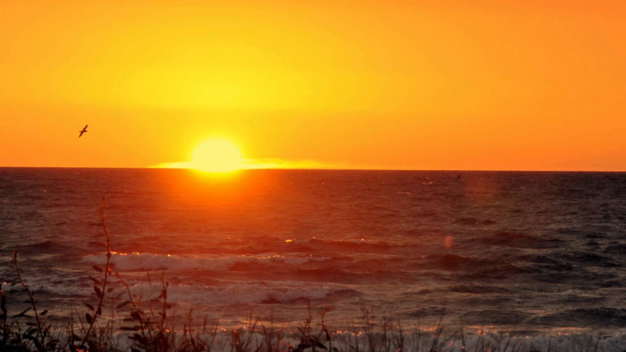 Slow Music - e.g. for Cool Down After Working Out - relaxdaily N&deg;022