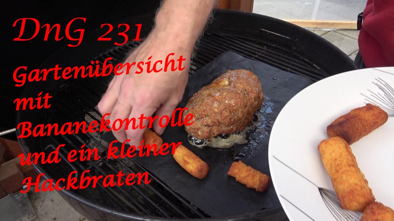 DnG 231 - Gartenübersicht mit Bananekontrolle und ein kleiner Hackbraten - Der Grilljunky