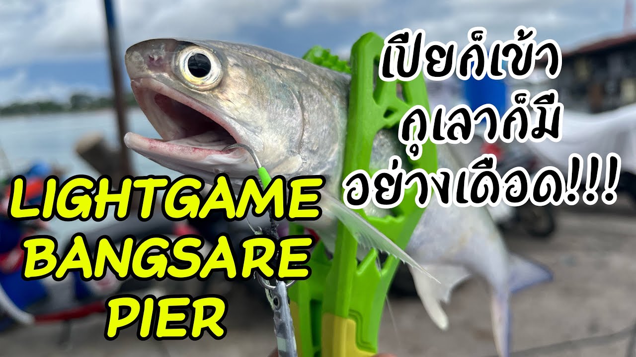 พาทีมงานทัวร์2หมาย บ้านอำเภอ-บางเสร่ โคตรมันส์ #นักตกภูธร #ตกปลาชายฝั่ง #microjig 