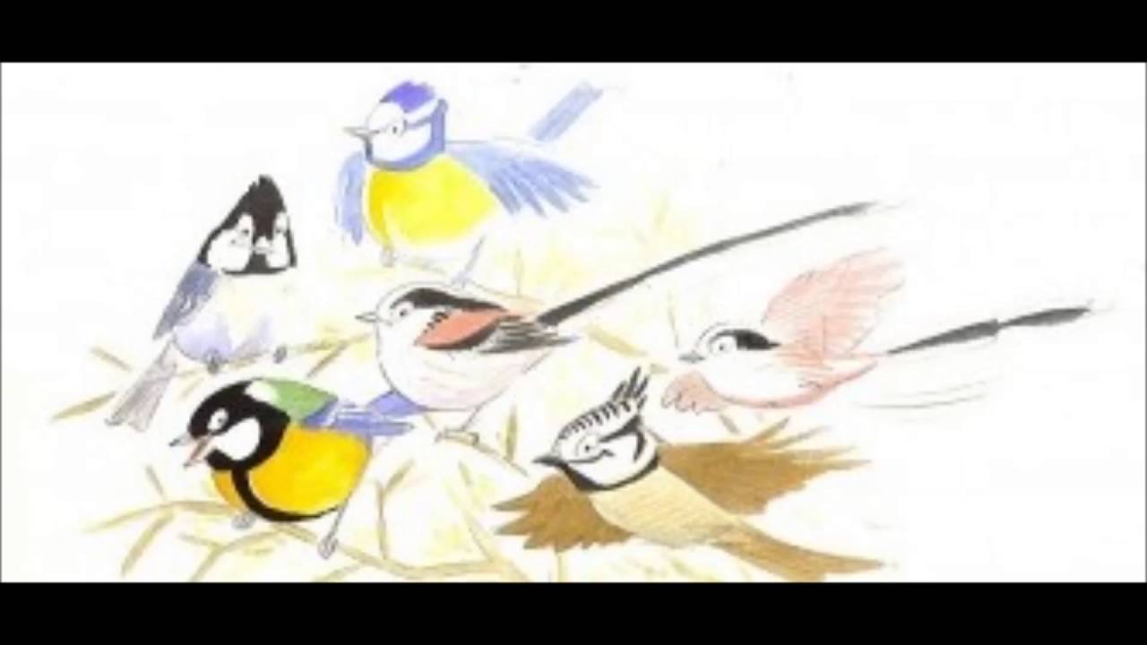 RECONNAITRE LES CHANTS D'OISEAUX : Exercice N°7