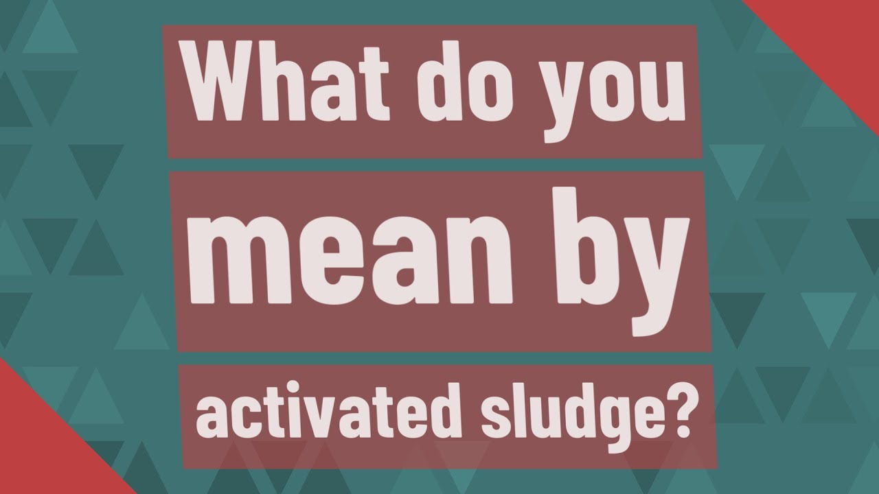 What do you mean by activated sludge?