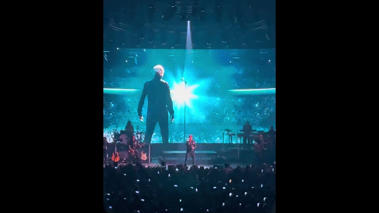 Sang pour sang repris par David Hallyday en concert