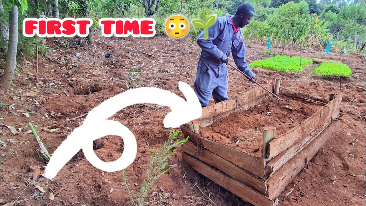 Building My First Raised Garden Bed 🌱 | Village Farm DIY