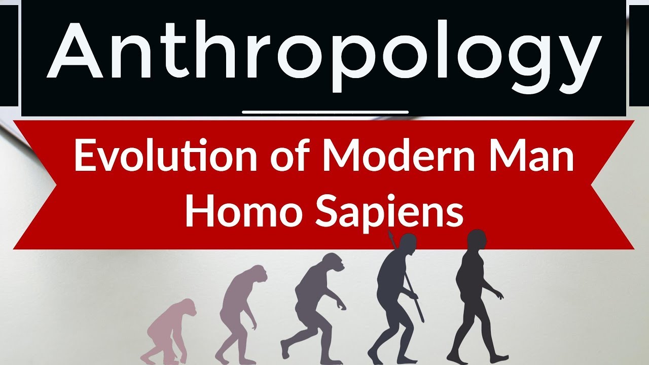 Anthropology - Evolution of Modern Man Homo Sapiens from ancestors - Lectures for IAS optional