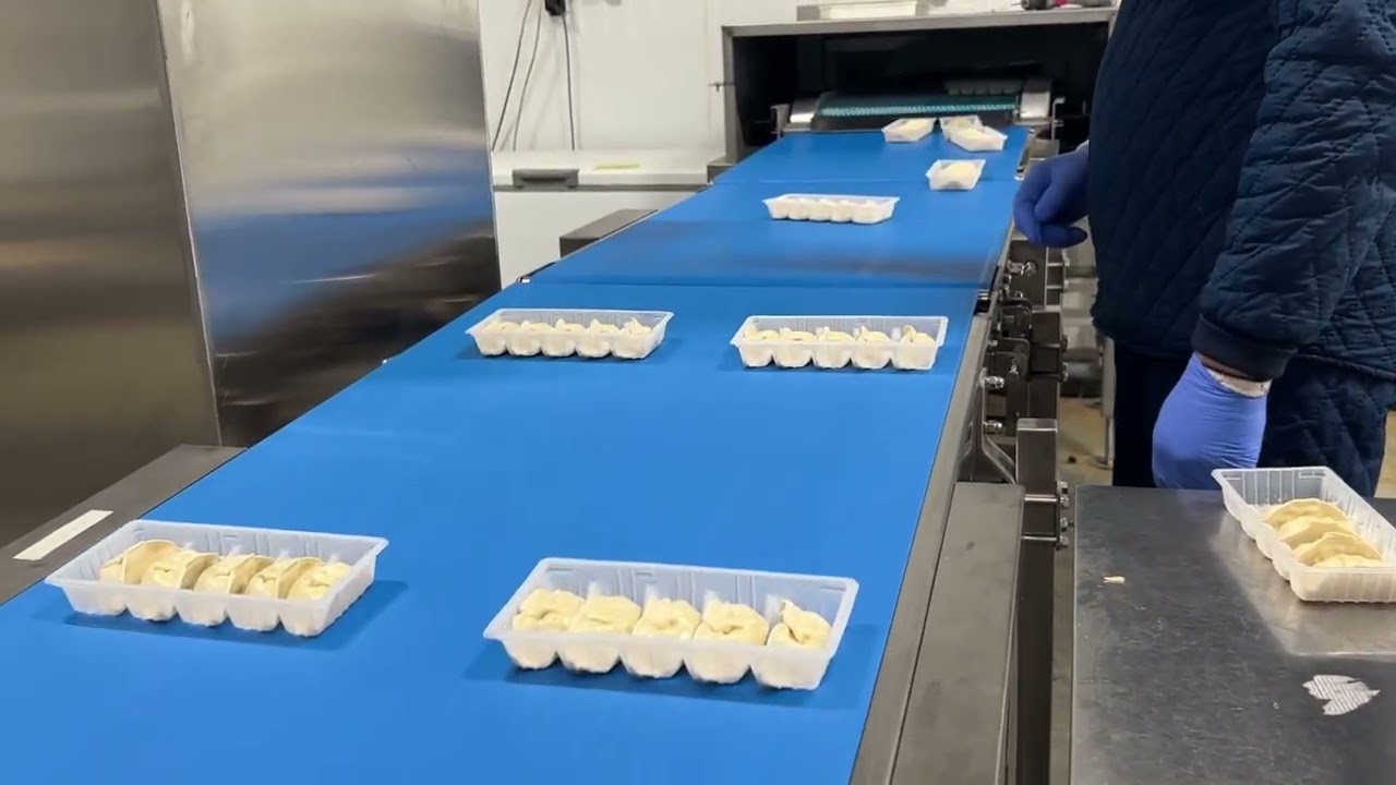 From Veg to Pack: Steamed Dumpling Line Impresses Italy Customer