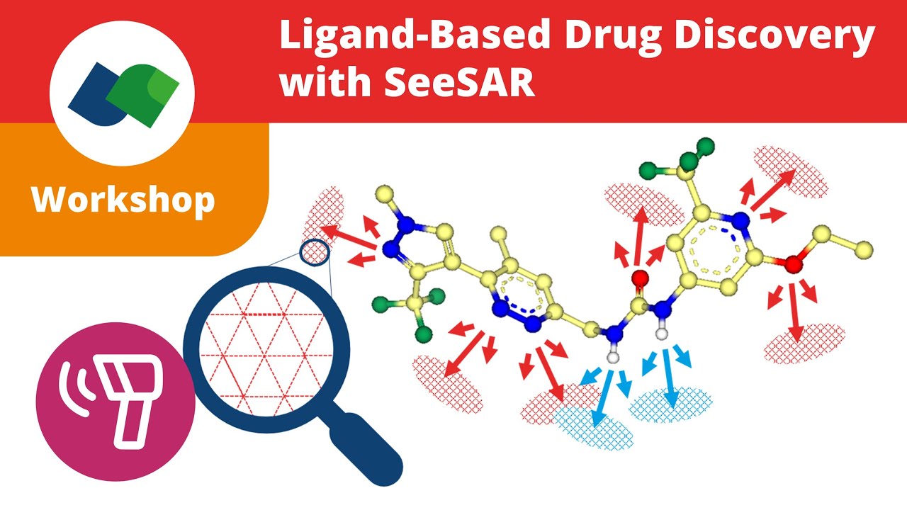 Ligand-Based Drug Discovery: SeeSAR 12 Narcissus