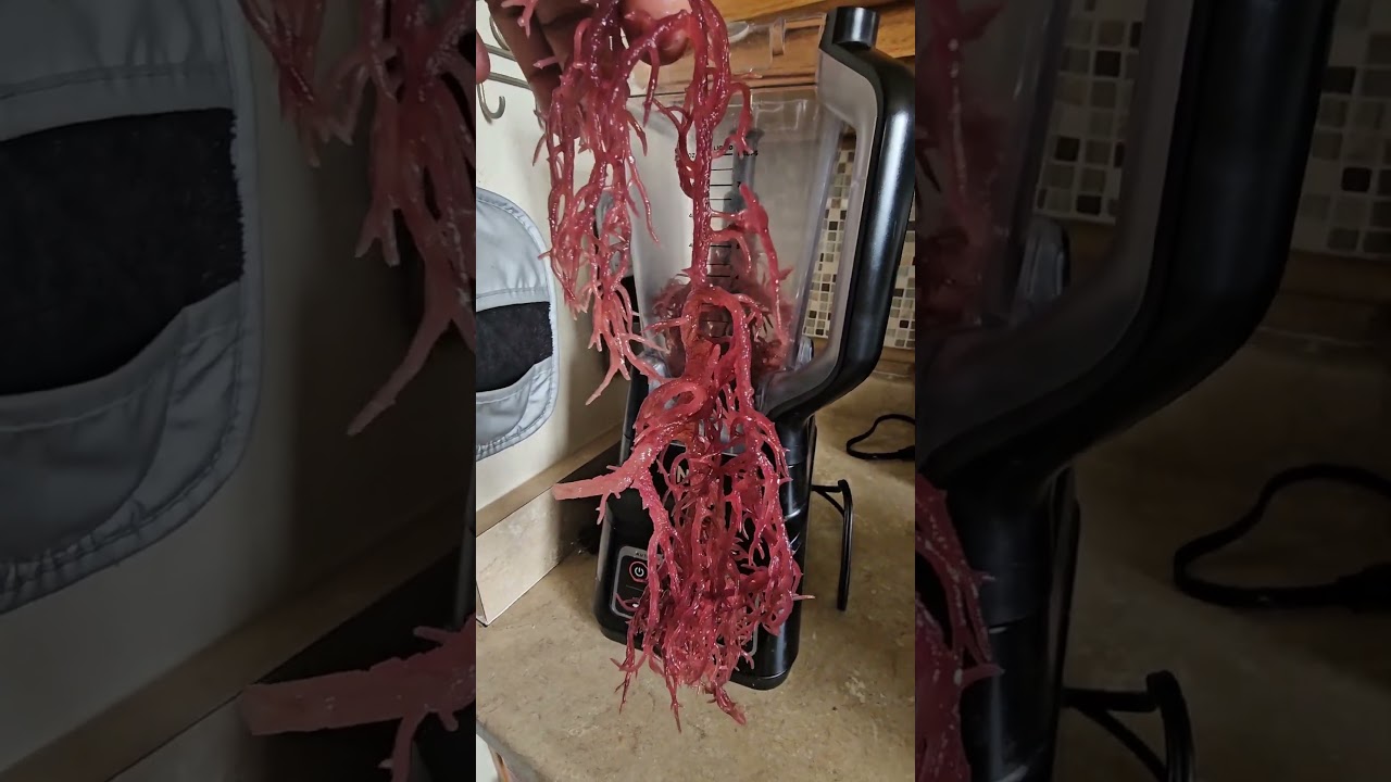 Purple Irish Sea Moss. Make a good drink with great benefits. 