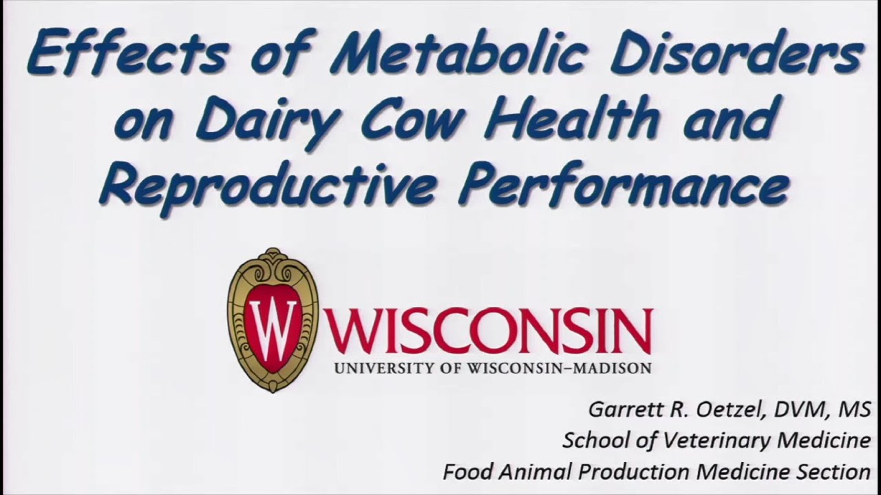 Effects of Metabolic Disorders on Dairy Cow Health and Reproductive Performance