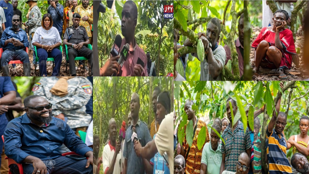 Angřy cocoa farmers deal with Otukonor on their cocoa farm, you....