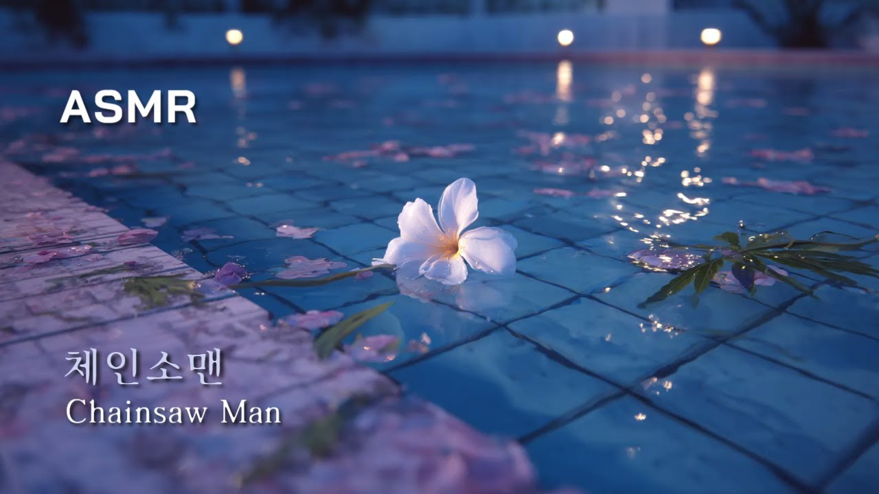 사실은 말이야 나도 학교에 가본 적이 없어【체인소맨 ASMR】