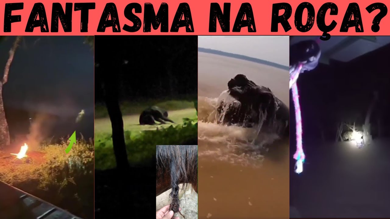 ТАЙНЫ РОЧИ. Испуганная коза сразу говорит, что это прив...