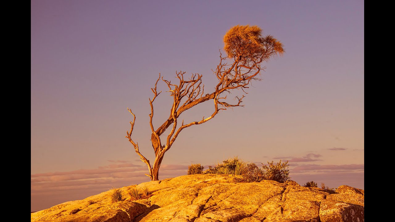 WORKING WITH COLLECTIONS IN LIGHTROOM