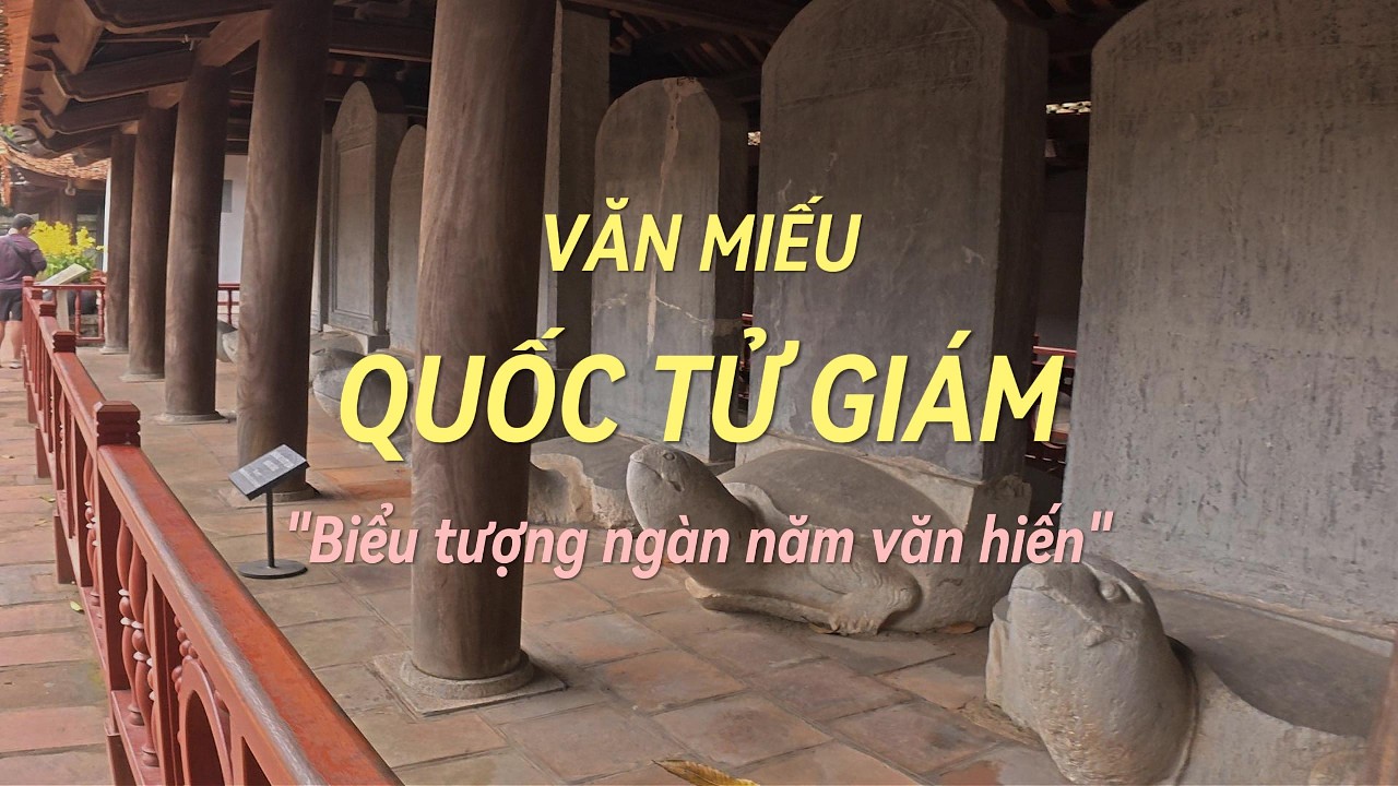 Thăm quan 