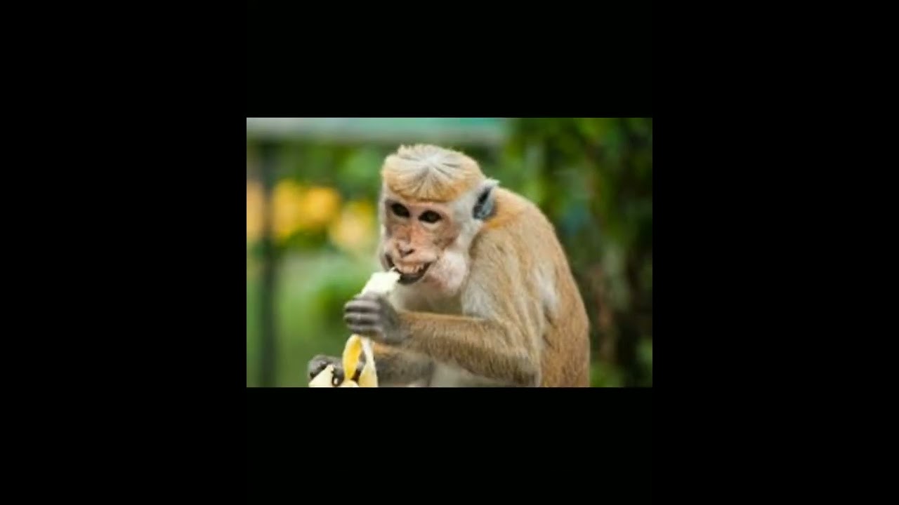 funny