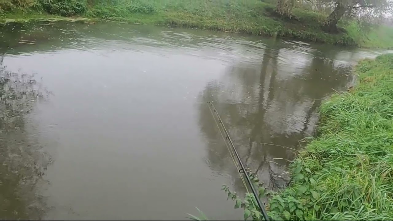 Jak znaleźć miejsca żerowania szczupaka w rzece/wędkarstwo spinningowe/poradnik