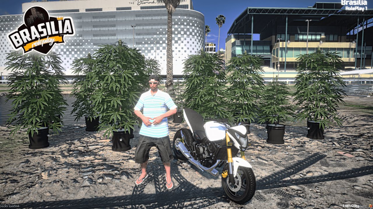FUI DE HORNET PLANTAR SEMENTES ILEGAIS 😳🔥 Brasília RP #14
