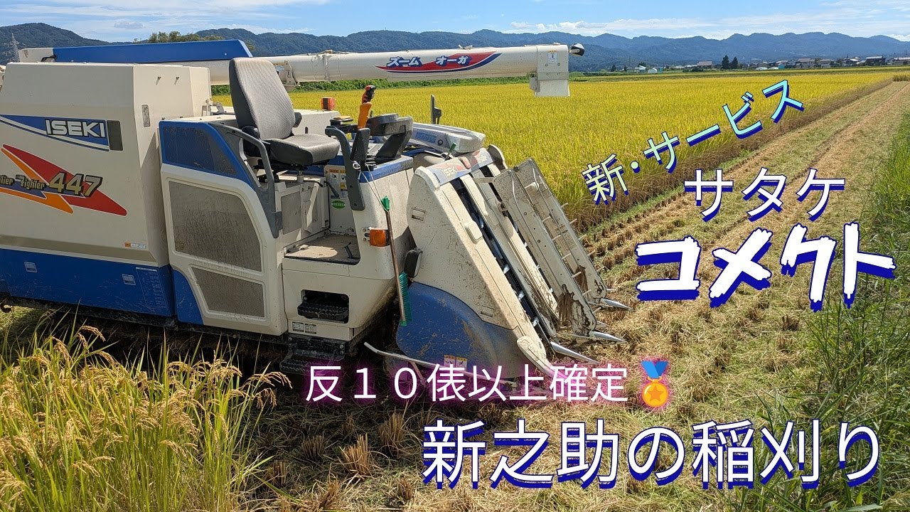 新之助も大豊作！！稲刈り終盤の追い込みへ。サタケ新サービスのコメクトの実践レビュー