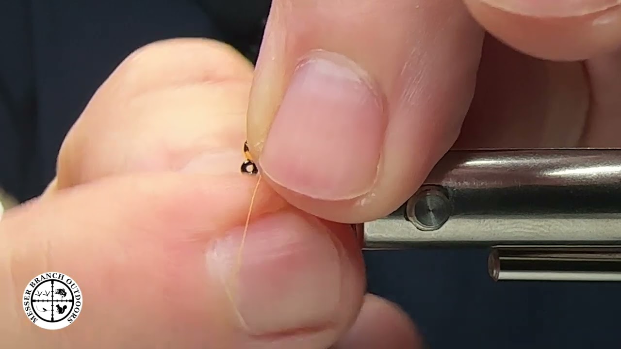 Yellow Sally Nymph