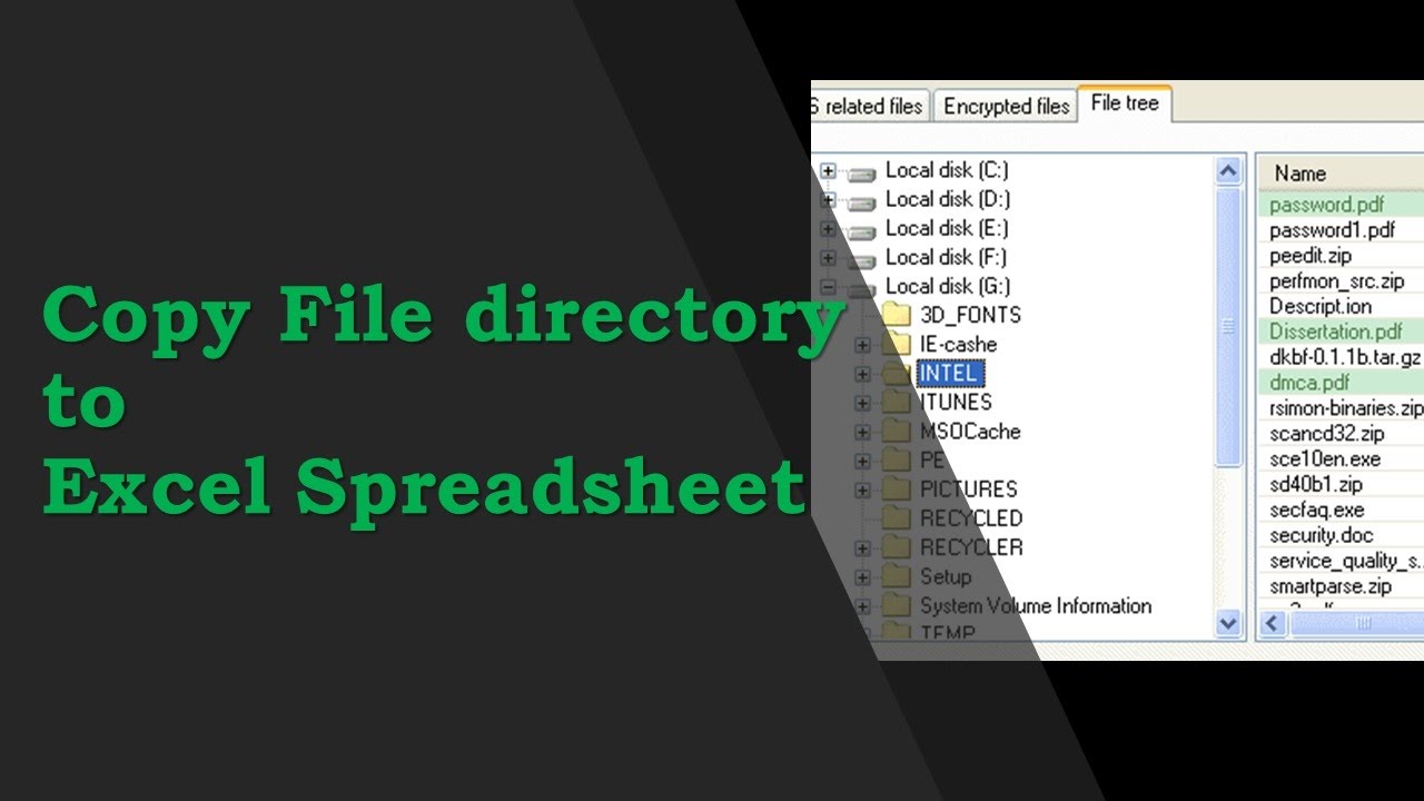 How to copy File directory to Excel Spreadsheet