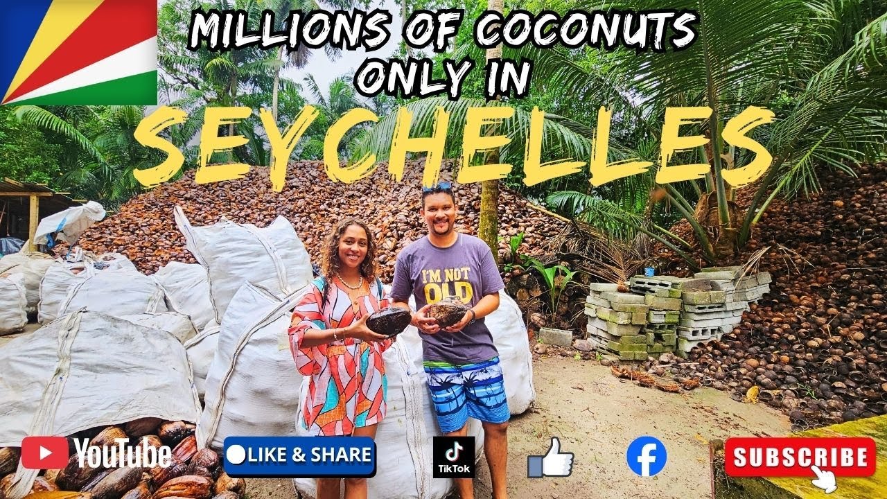 🥥Exploring a Traditional Coco Farm 🌴Pure Island Life🌴 | Seychelles Travel Vlog