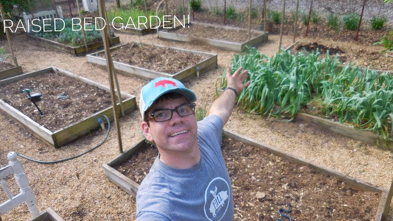 LET'S GET GARDENING! Home Gardening 101 with the Dancing Farmer
