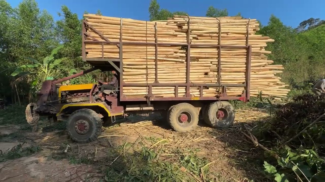 A 6-cylinder, 3-axle truck used for transporting timber in the Vietnamese forest.#xedochogo 