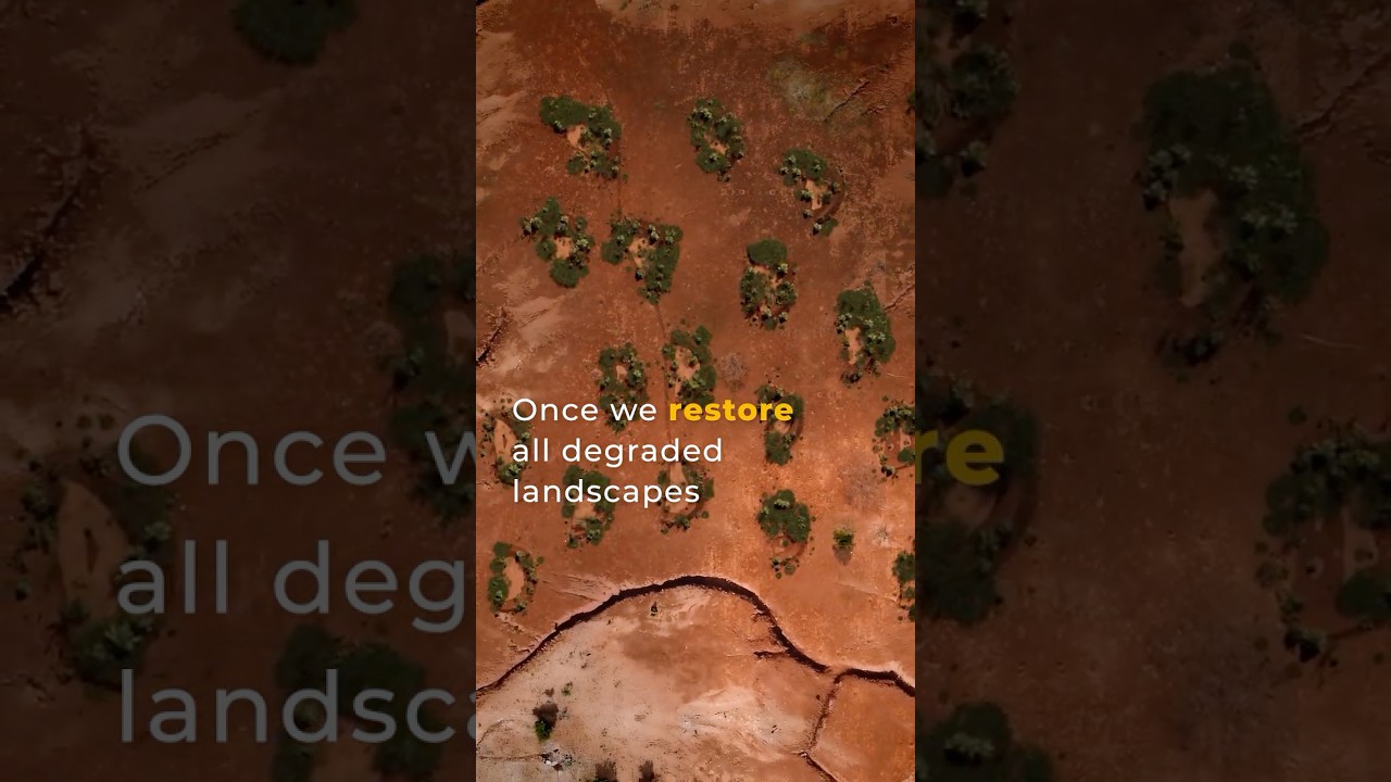 Эти &laquo;улыбки Земли&raquo; способствуют озеленению стран Африки к югу от Сахары.