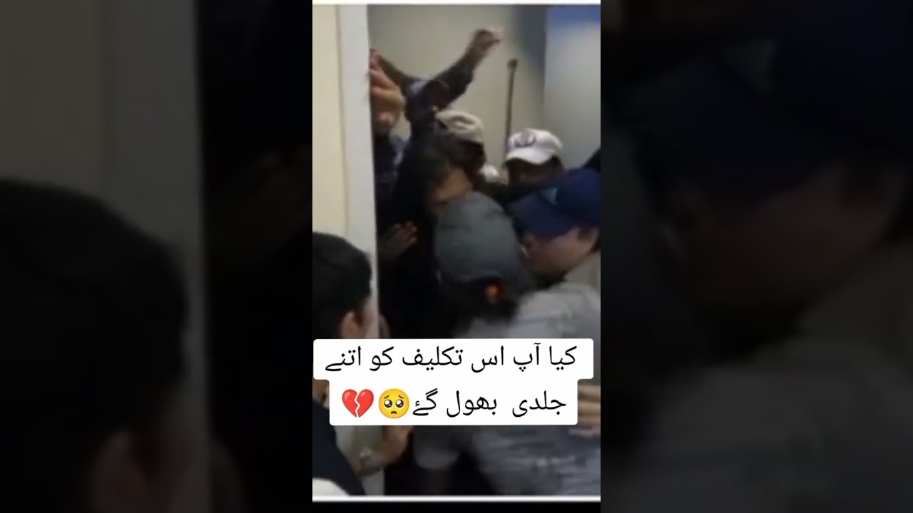Imran khan tigers #pti #tigers #viral video #foryoupage