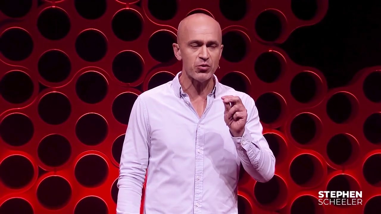 Stephen Scheeler | Great Expectation