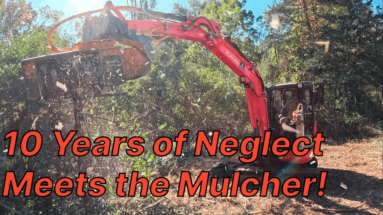 This Yard Was Lost for 10 Years — The Cleanup Begins