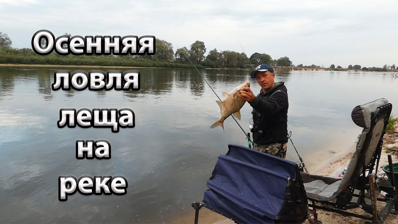 Осенняя рыбалка на реке Припять.