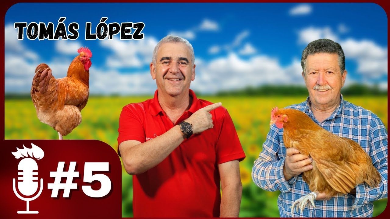 🎙️ Creando una GALLINA DE RAZA | Podcast #5 con Tom&aacute;s L&oacute;pez, criador de la Raza Para&iacute;so