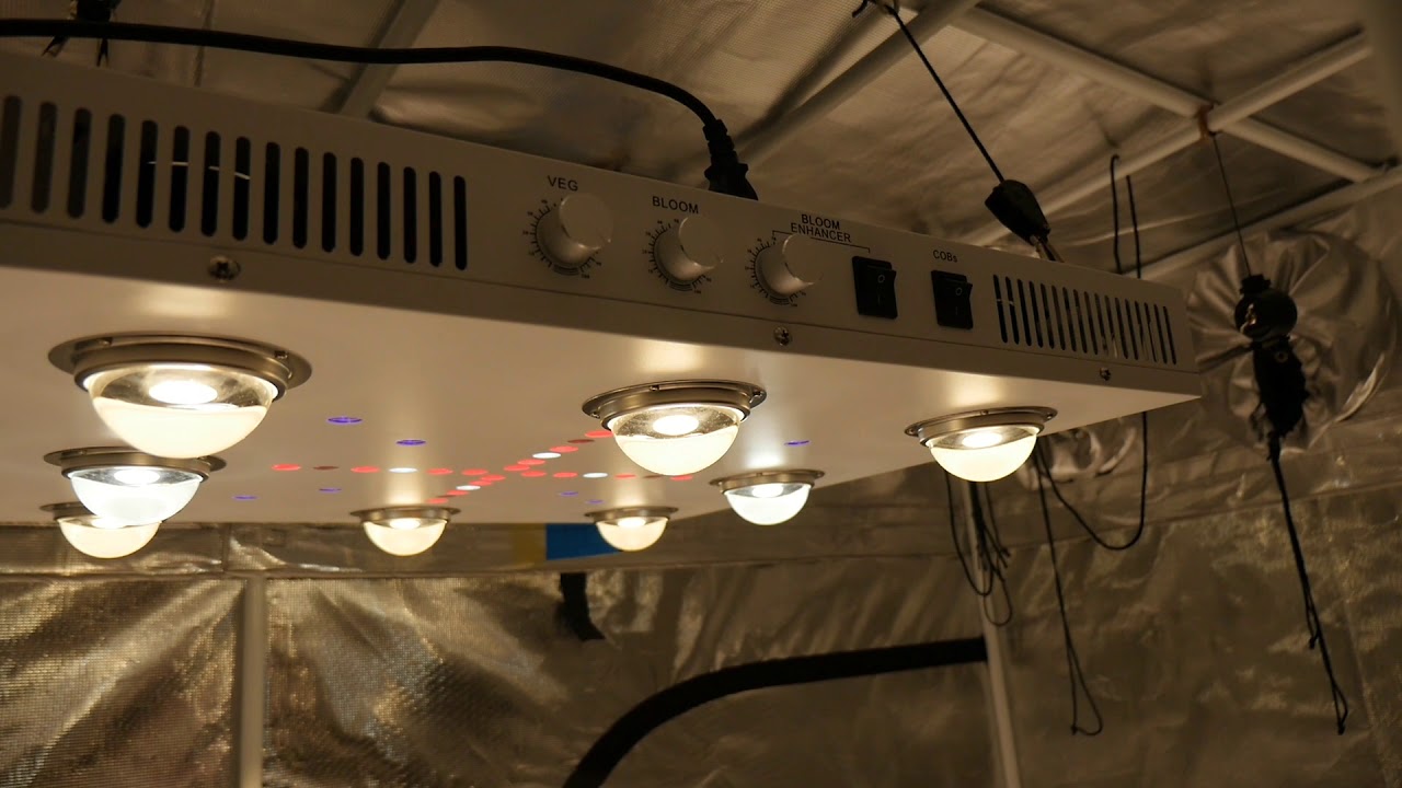 NEW CANNABIS GARDEN SETUP - OPTIC 8+ LED GROW LIGHT