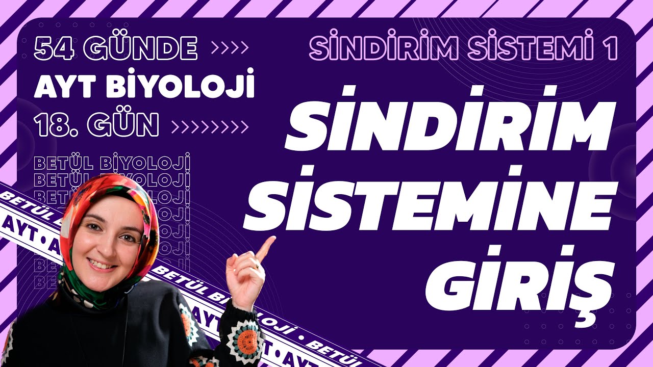 18) Sindirim Sistemi ve Sindirim Kanalı | Sindirim Sistemi | 11. Sınıf Biyoloji | AYT Kampı 18. Gün