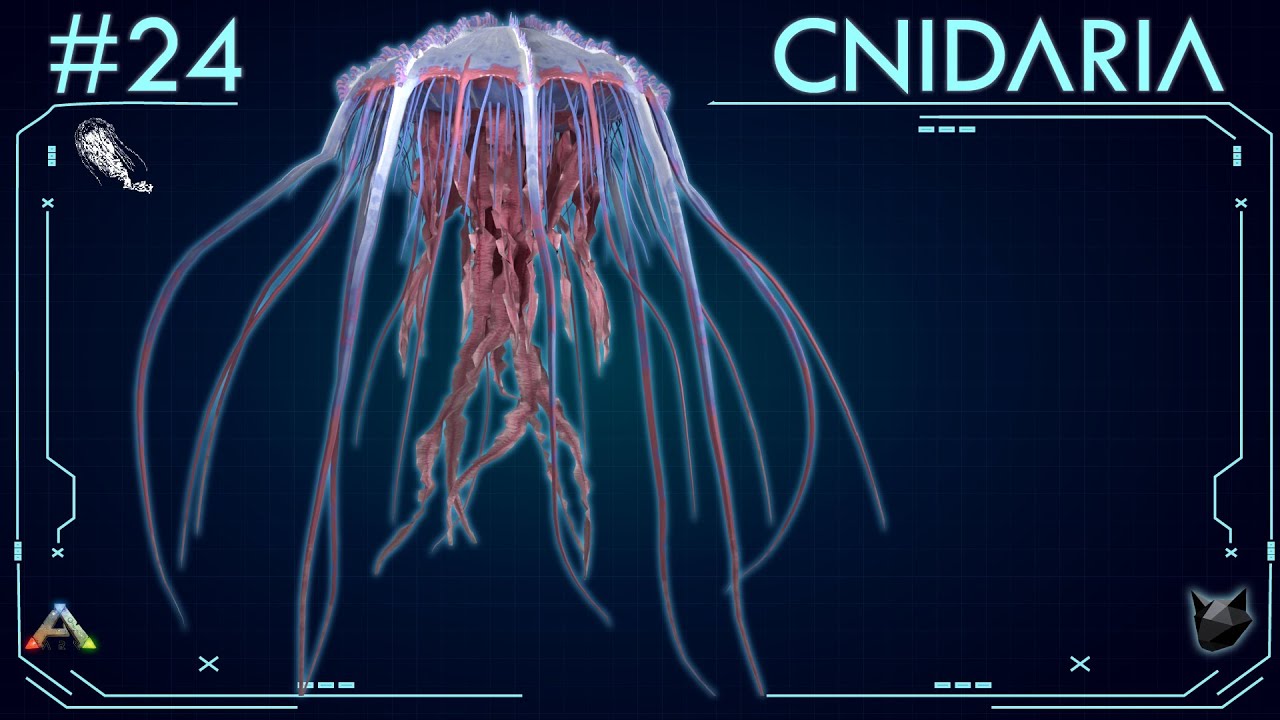 ALL ABOUT THE CNIDARIA (#24) - ARK: Survival Evolved - The Island Dossiers