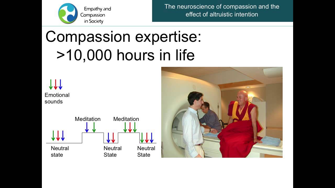 Antoine Lutz - The Neuroscience of Compassion - Empathy and Compassion in Society 2013