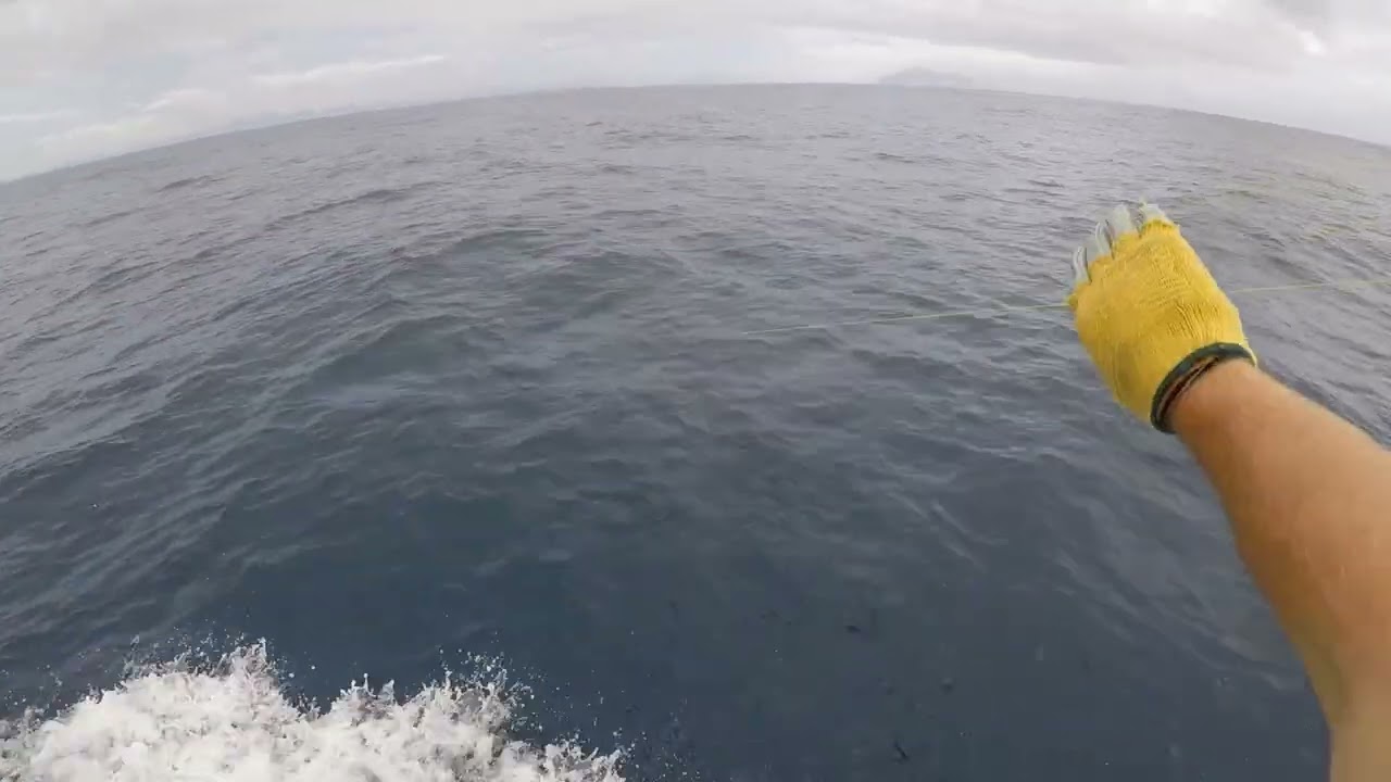 Bermagui Marlin Fishing - Head Hunter Charters