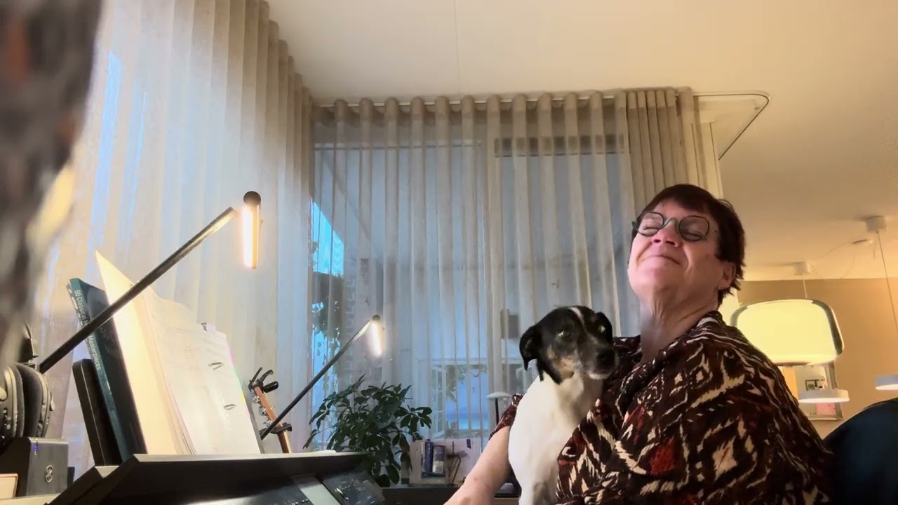 You raise me up met Bruno de hond
