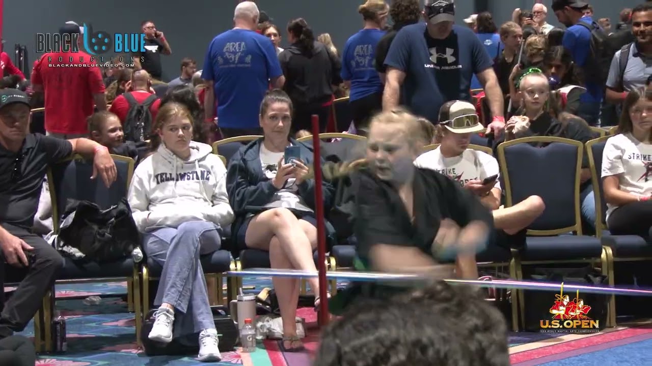 Highlights Forms and Weapons at 2025 U S Open World Martial Arts Championships Part 10
