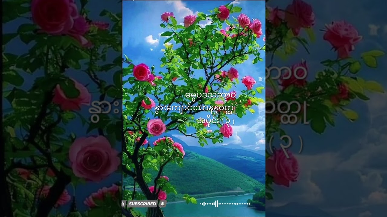 ဓမ္မပဒသဘာဝ နွားကျောင်းသားနန္ဒဝတ္ထု အပိုင်း(၃) အရှင်ဇောတိက(ညောင်တုန်း)၏သင်တန်းတရားတော်များ